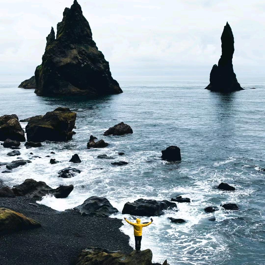 即刻电竞云鸽鸽