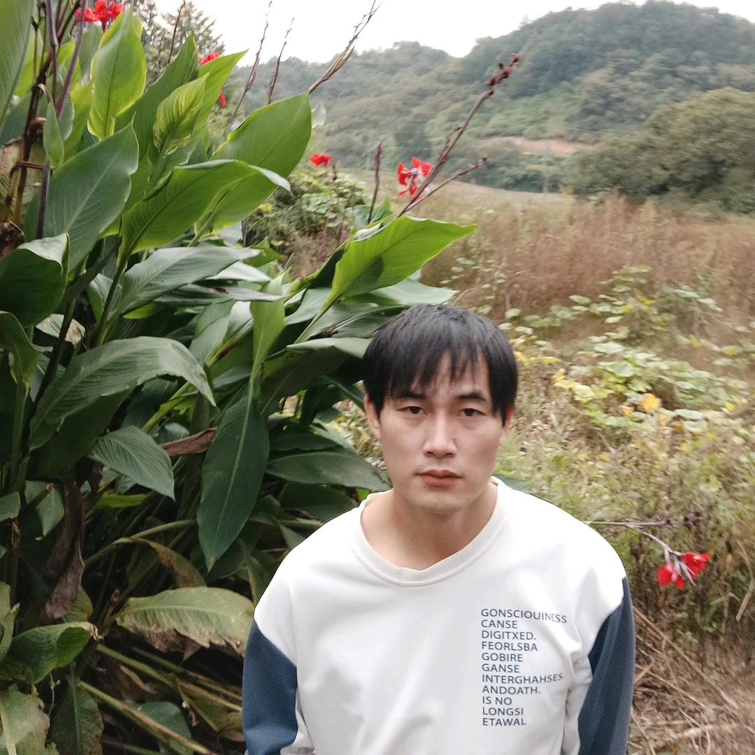 行程未定