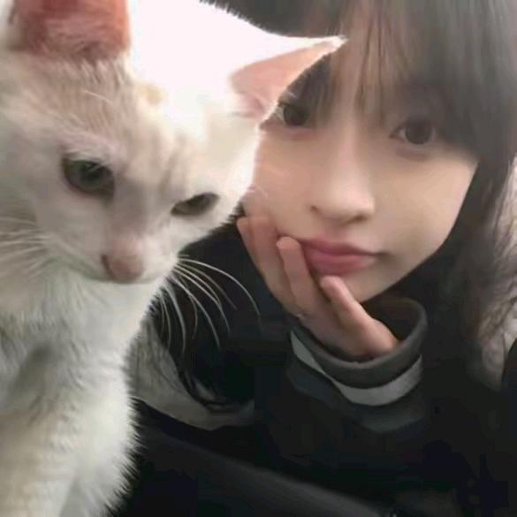 粉红小猫