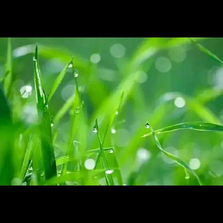 L蓝天白云