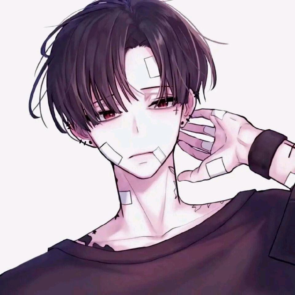 🌈长青ii