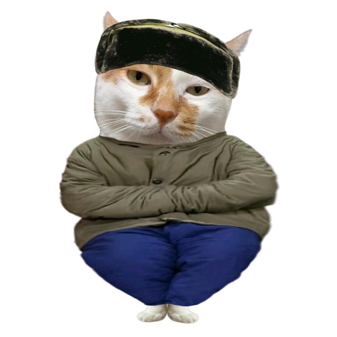 穿鱼