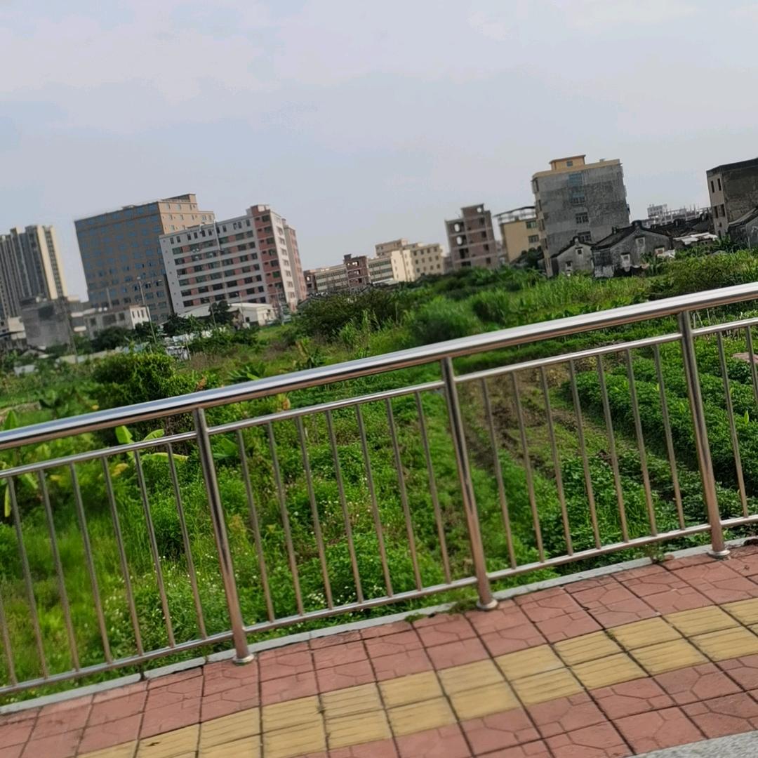 拳打市营何绮雯脚踢电商潘锦丽