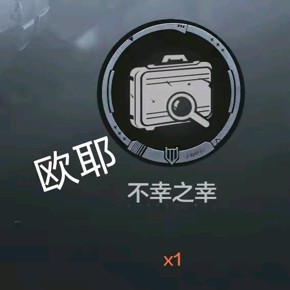 @鱼十 暗区突围（已停更可能会更新）小号