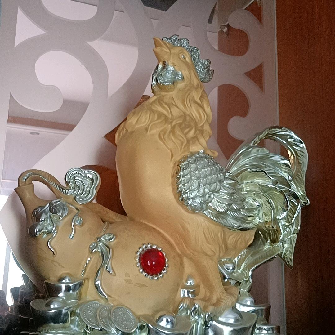 吴泽涛@🇨🇳