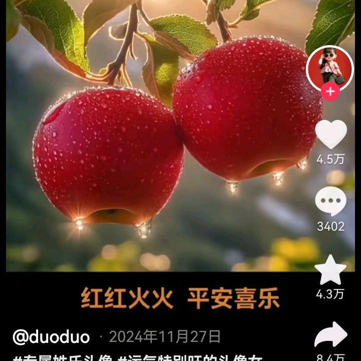 一路畅红181