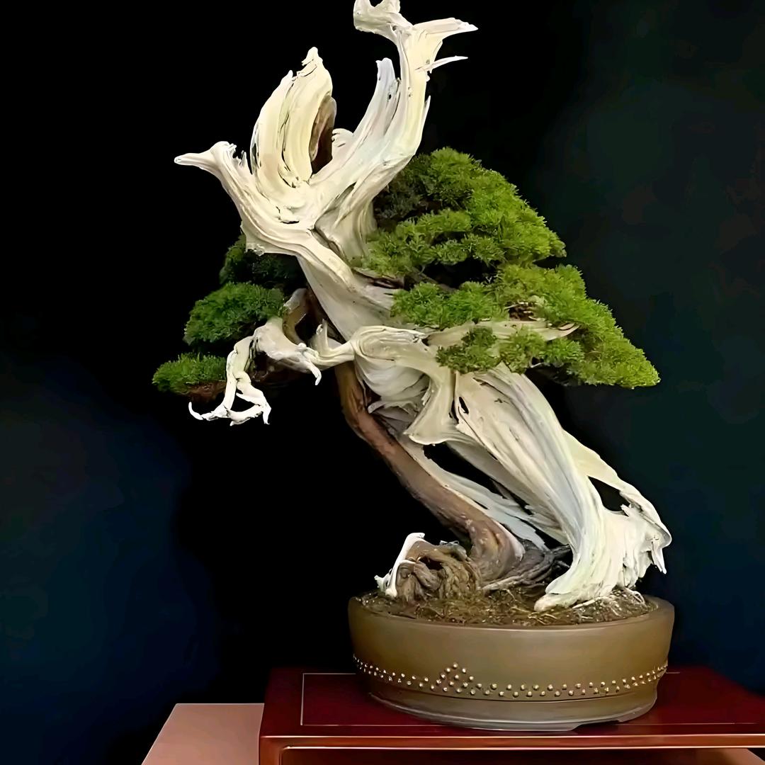 鸣园艺
