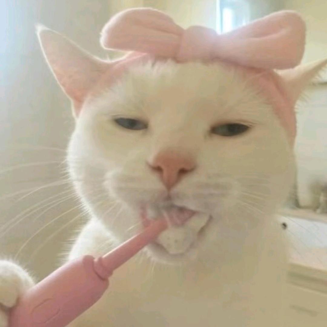 𝟱𝘂𝗼𝗶𝗶𝗼🦋