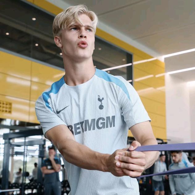 我的护球像亨利