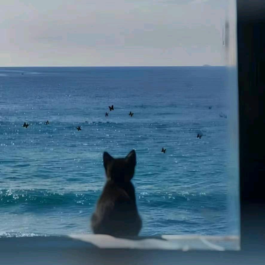 思维才是最大的财富