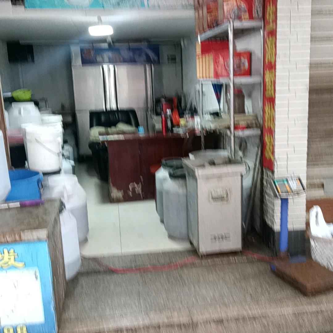 纯野生海蜇批发