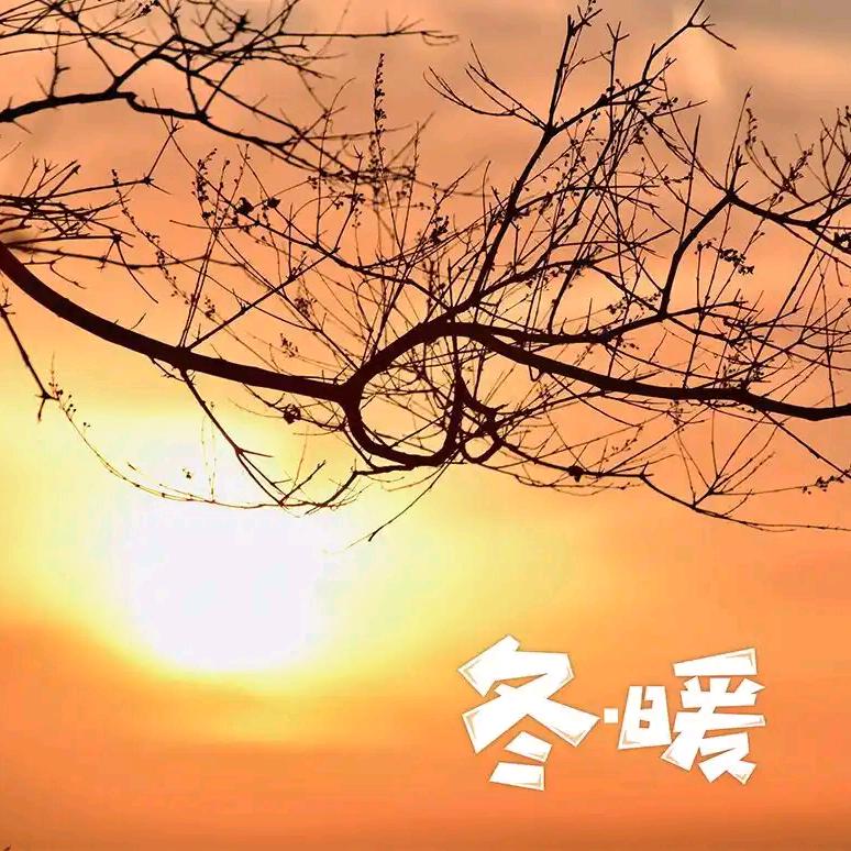 冬日暖阳