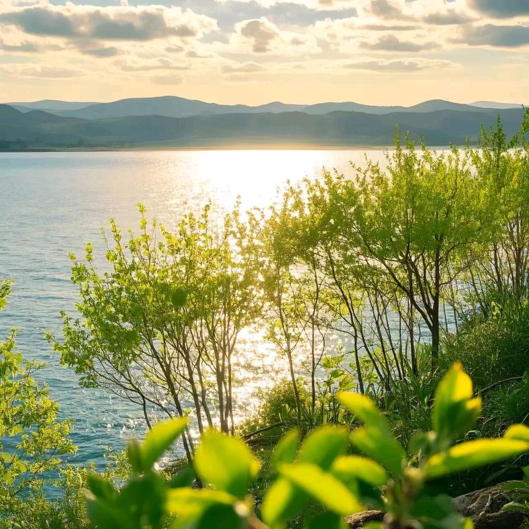 🦋希望🍒🍒🧚