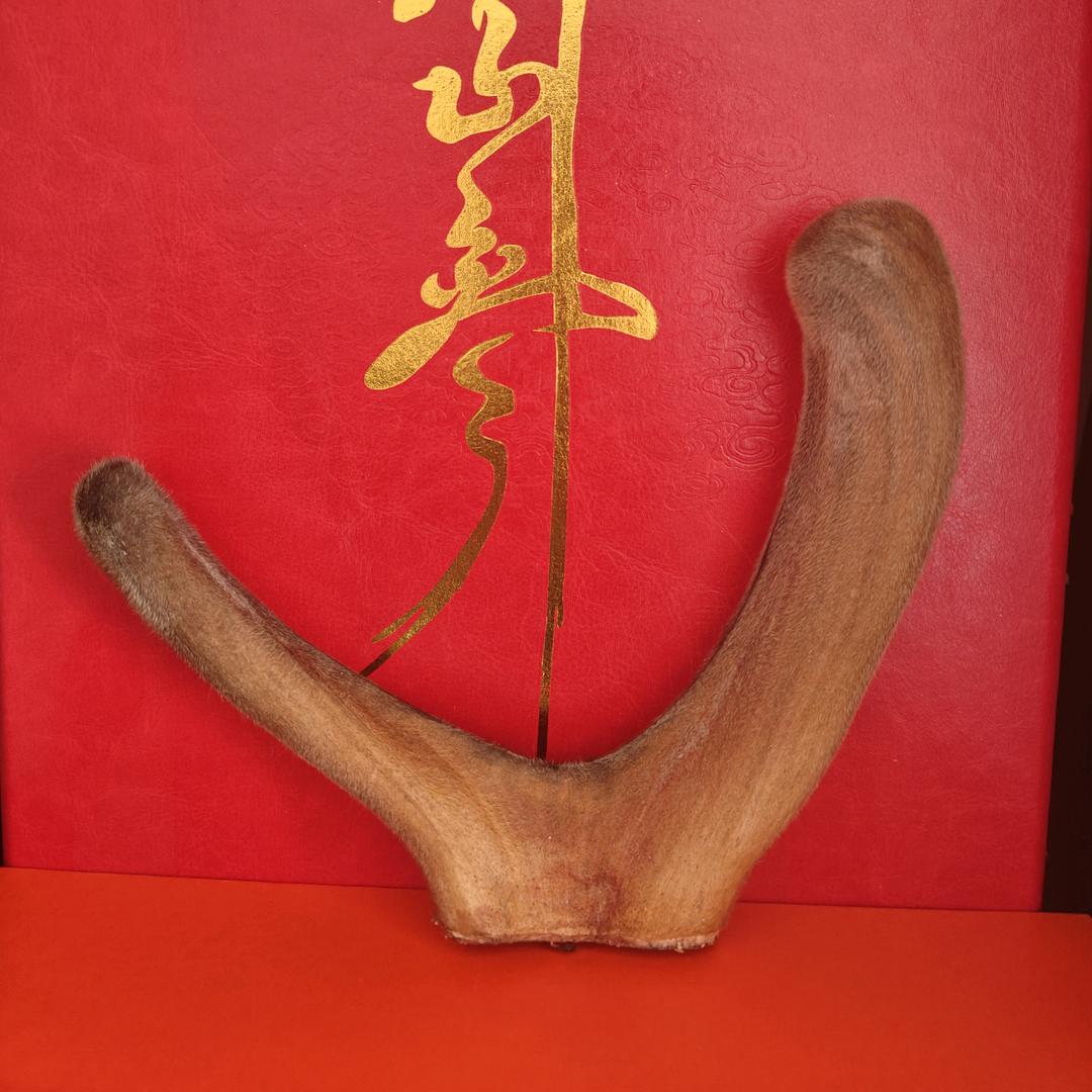 晓晓鹿产品