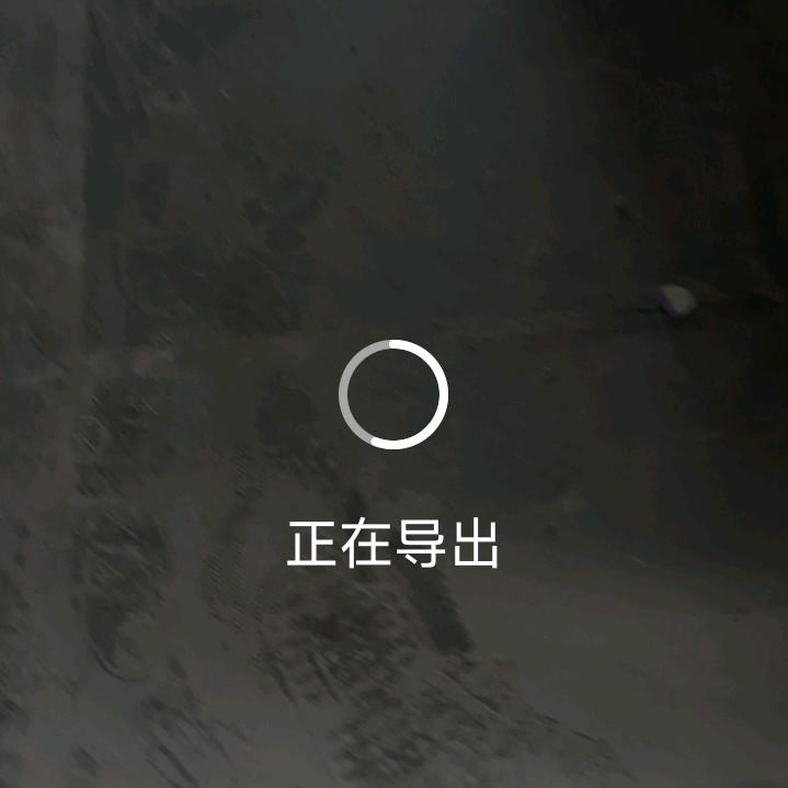 孤狼一笑