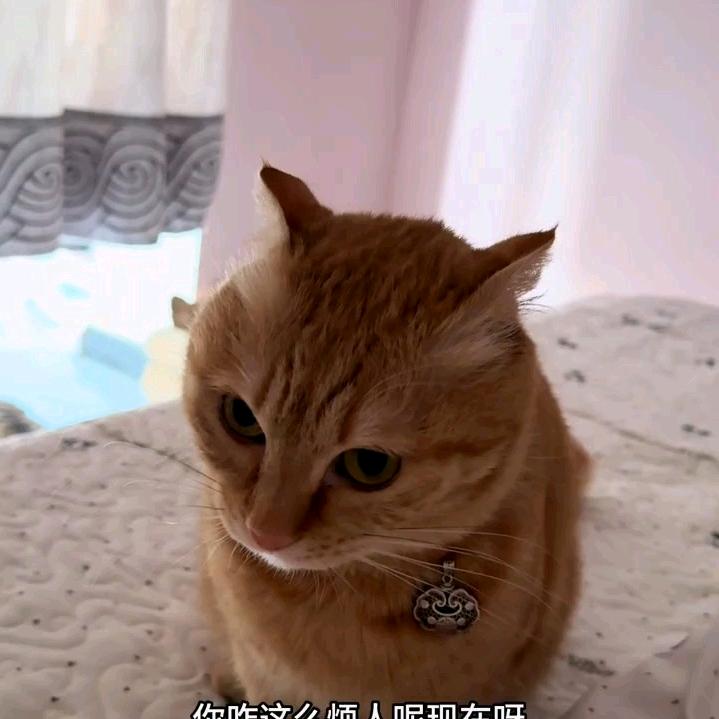 👑ꪡꪖꫛᧁ☞