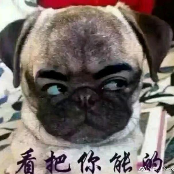 獨坐觀心