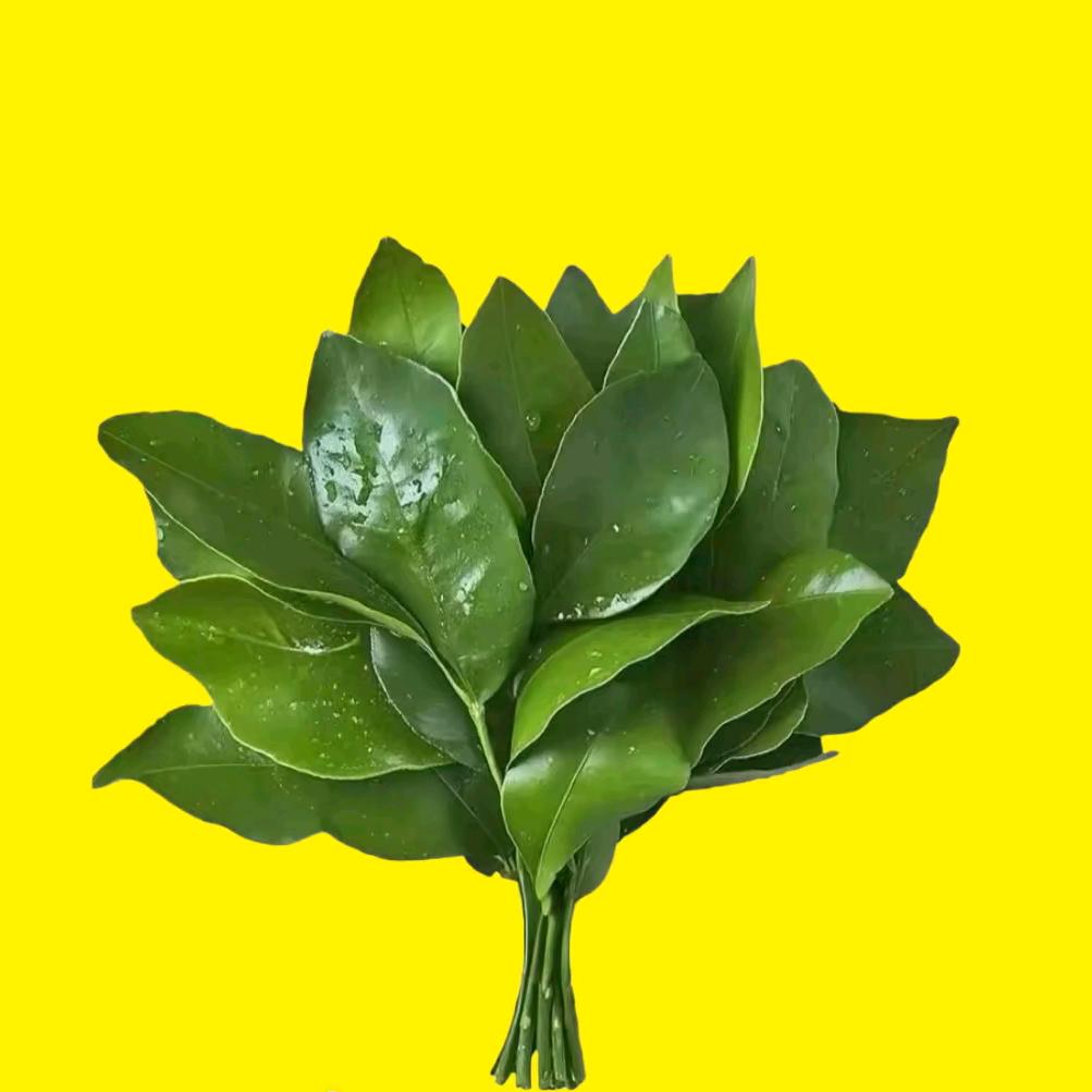 情不是晴