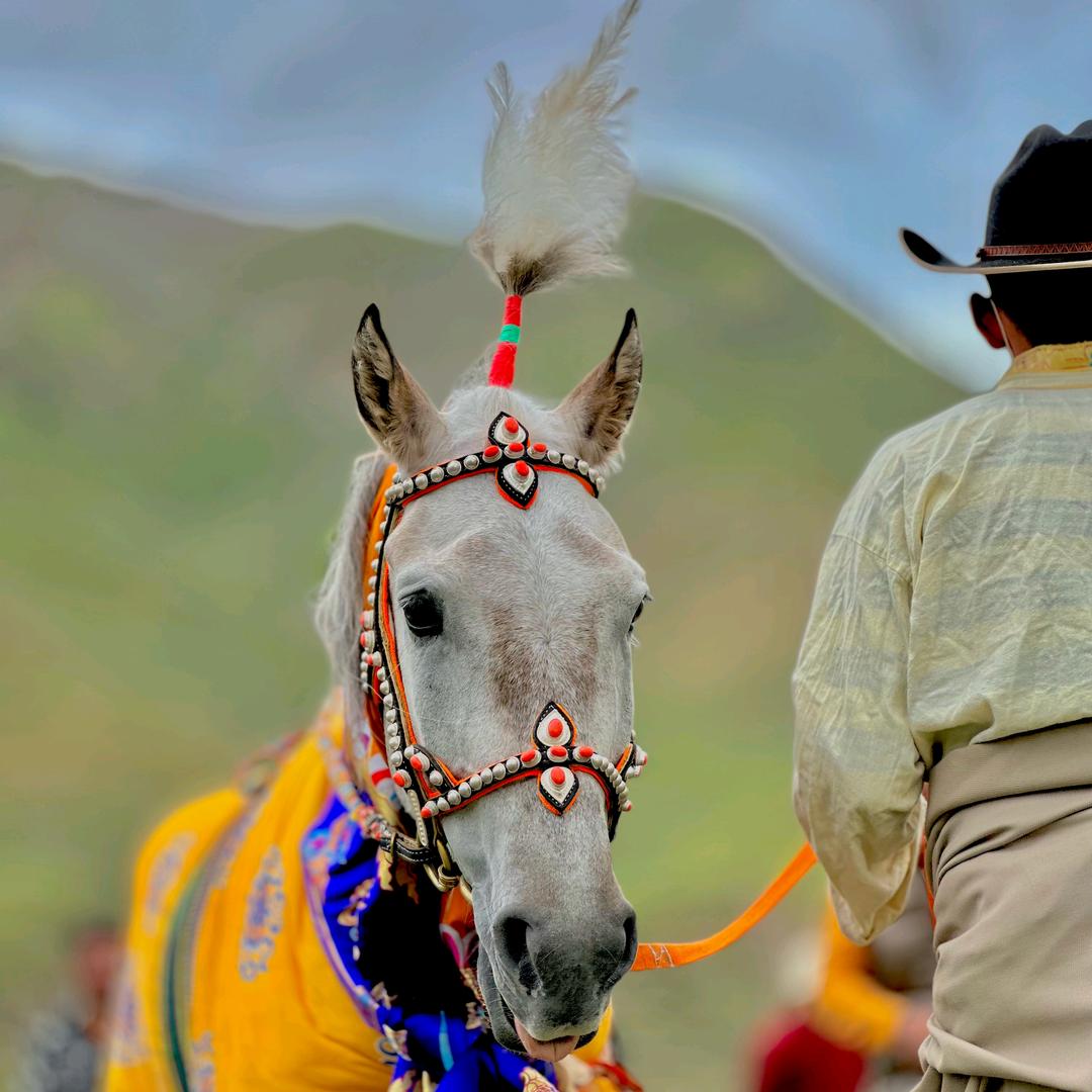 -𝖆𝖎𝖒𝖆🐎