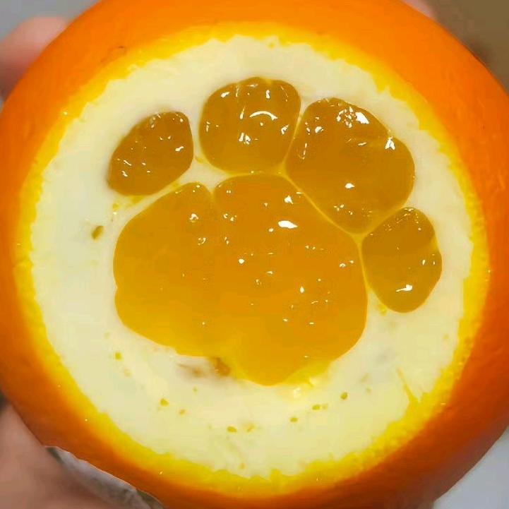 一条臭鱼sama