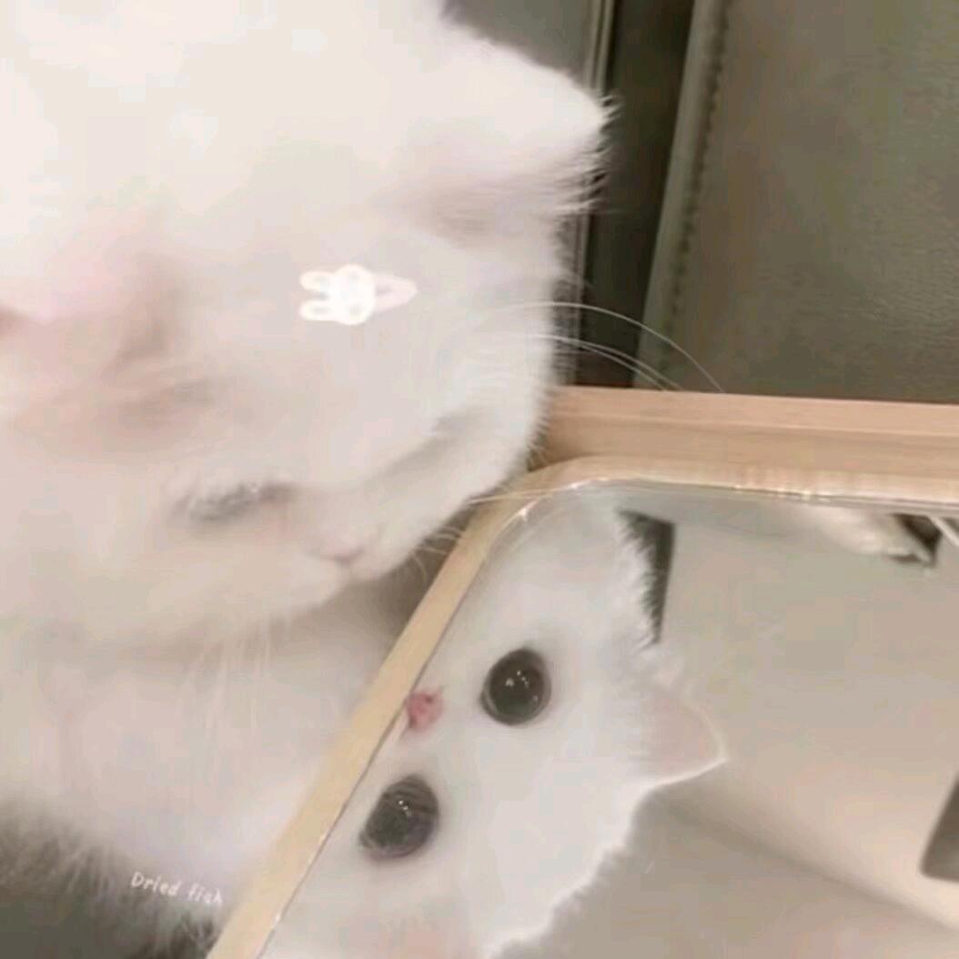 `荔枝汁