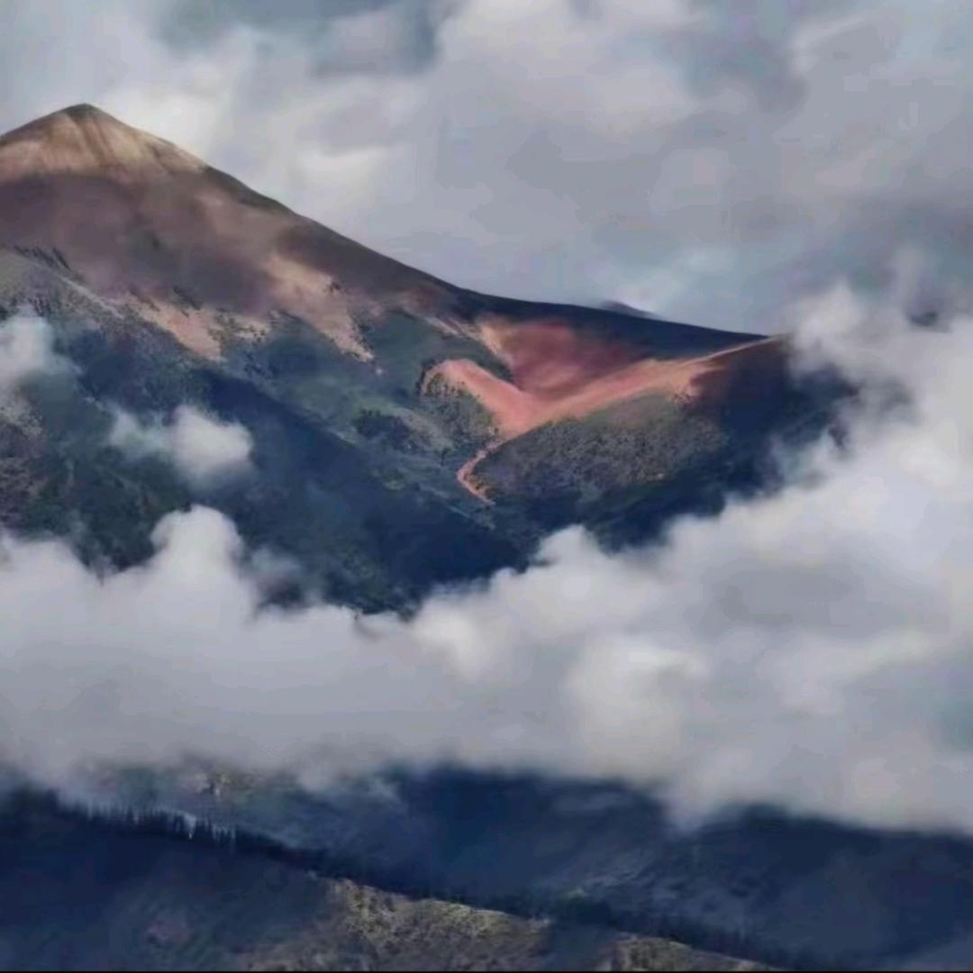 🙏1🙏3🙏7🙏6