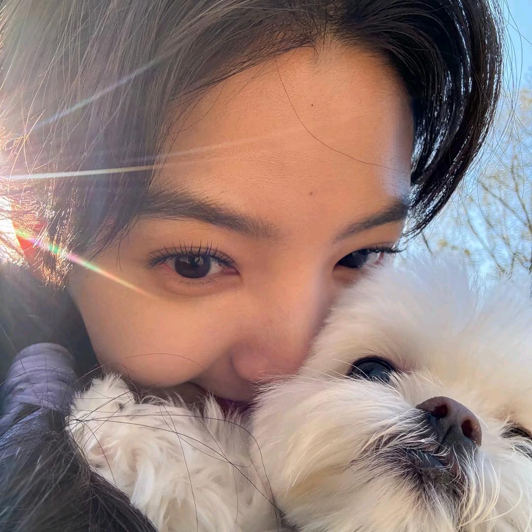 菠萝包在我身上