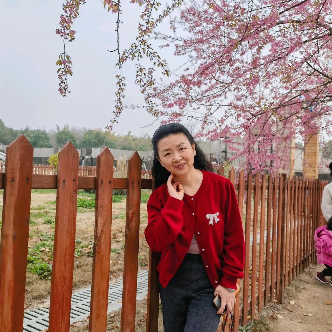 xiaomei11986