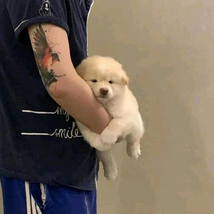 今天又晚睡了