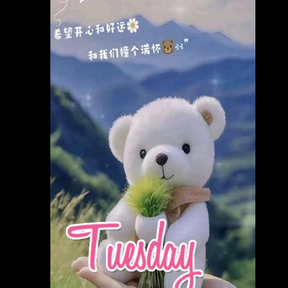 晚风X过境