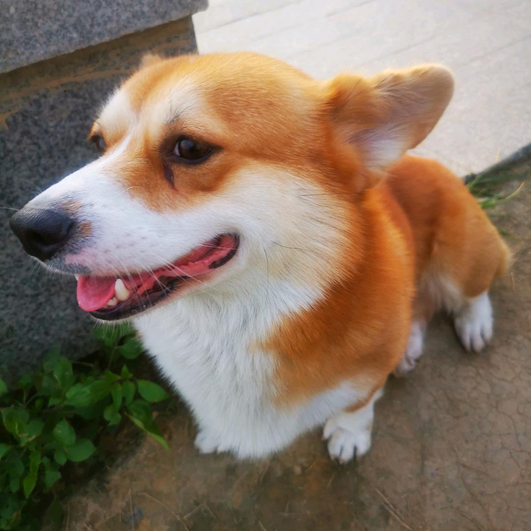 想个名字都想不到。。。