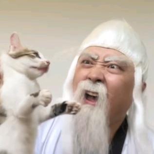 说德道礼