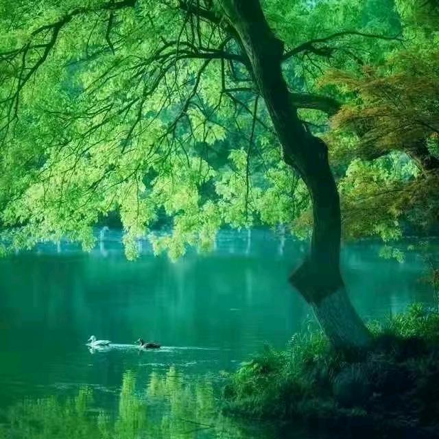 生哥