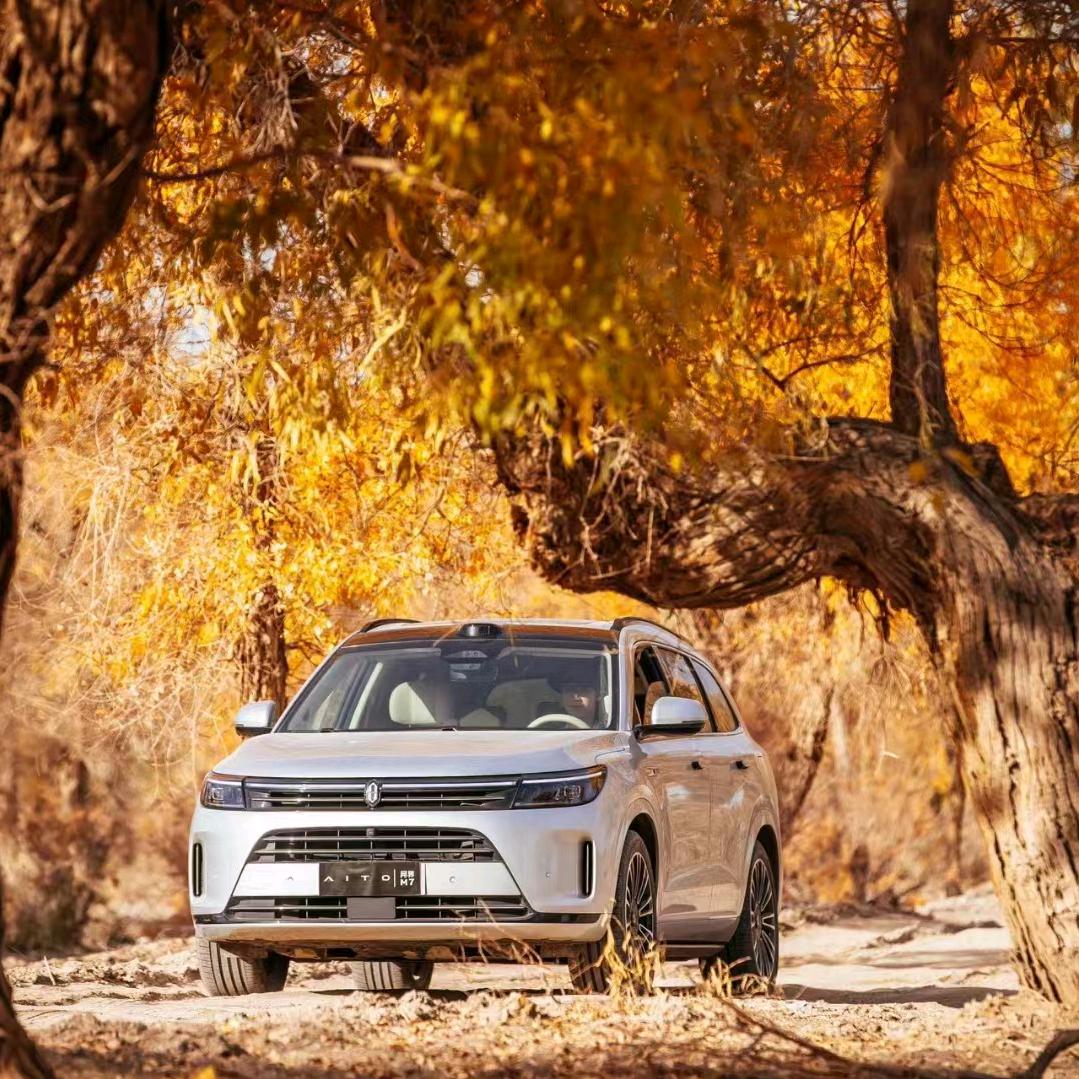 🌿独来独往🌿