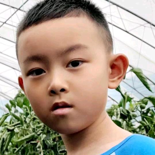 何以解忧唯有退休