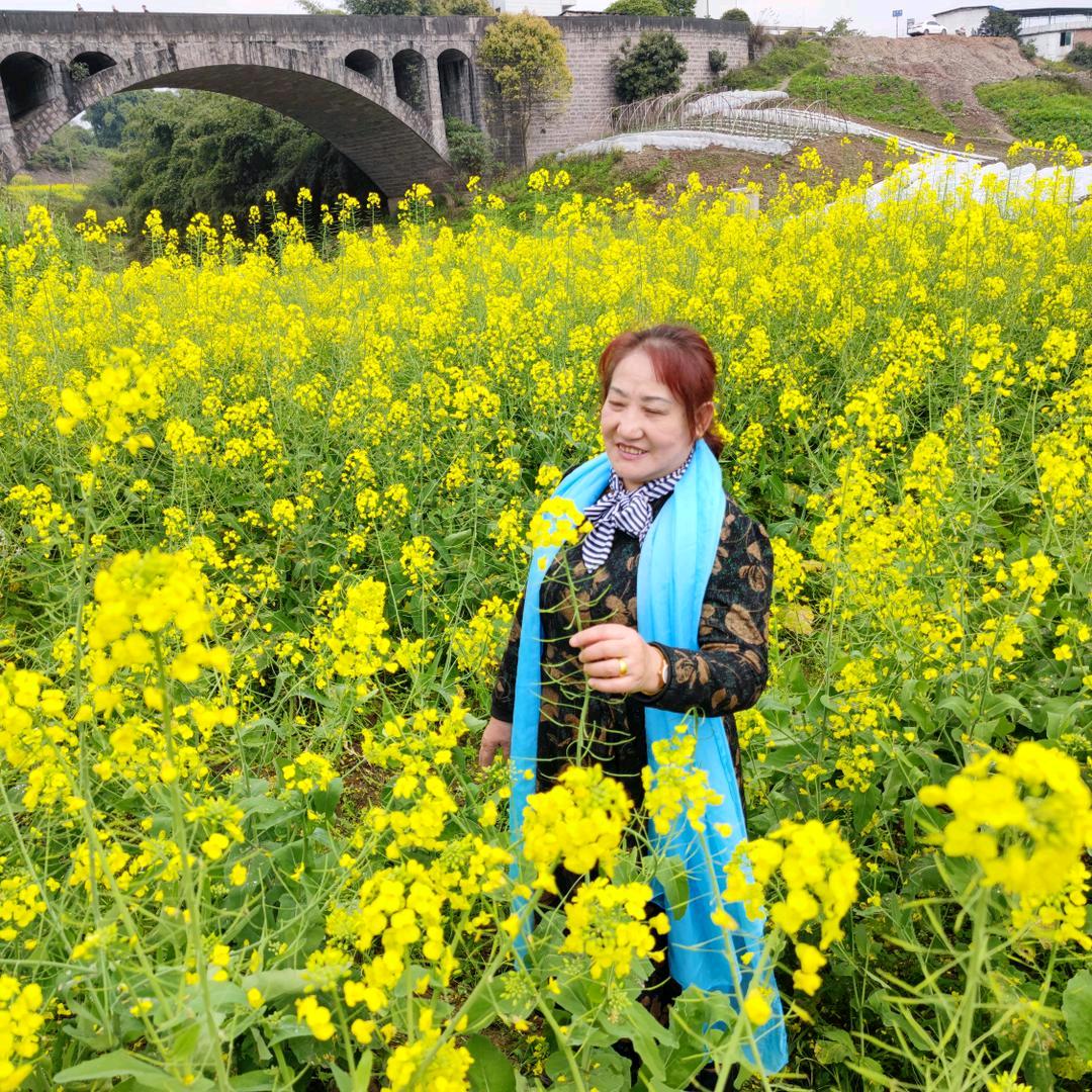 心语姐。下午1.30分开播