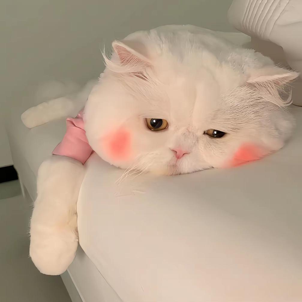 🎀