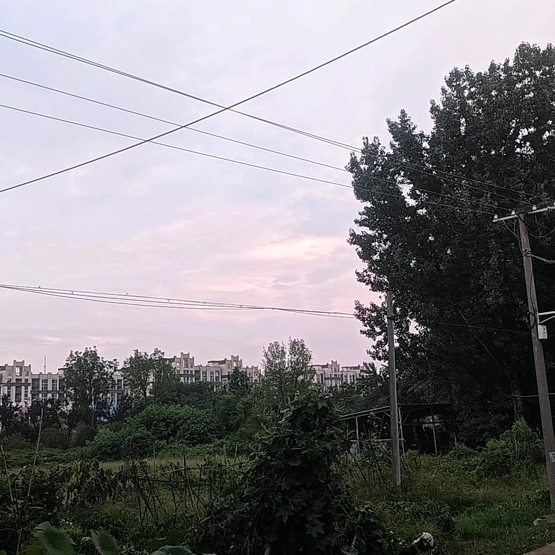 半生沉浮🚬头像