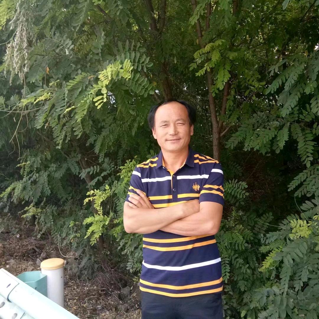 收粮食王跃