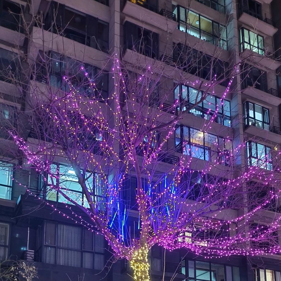 我是大脑袋