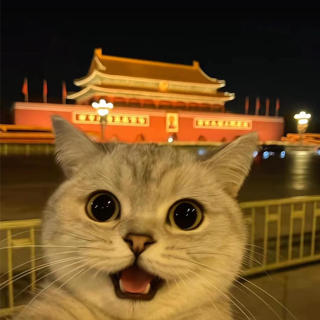 十二月的🐱