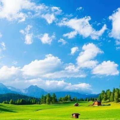 啊哈✌︎˶╹ꇴ╹˶✌︎