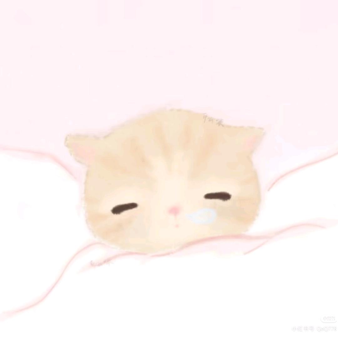 赵赵^