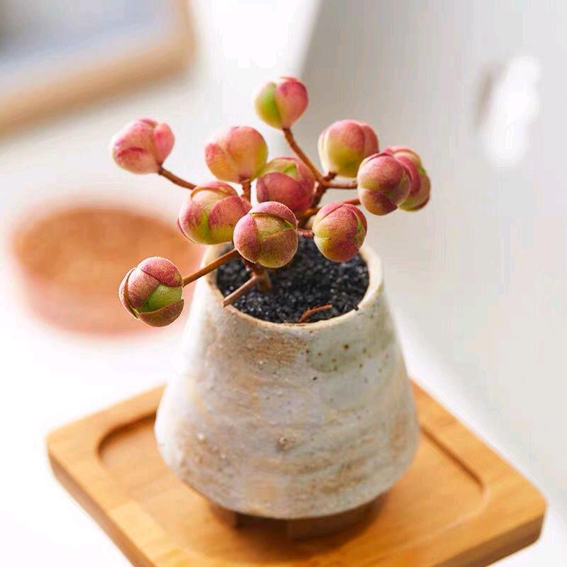 雷智慧
