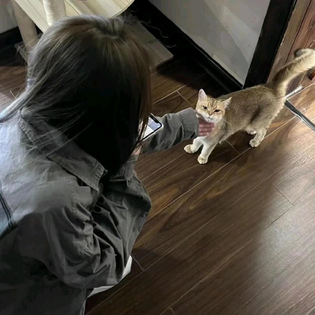 甜予以.（恩师Sakura）