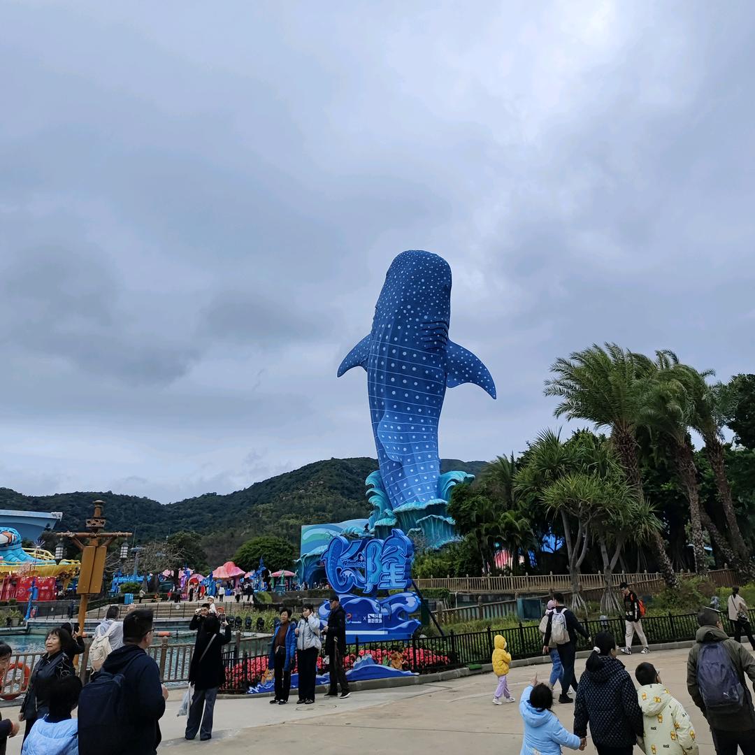 沐沐