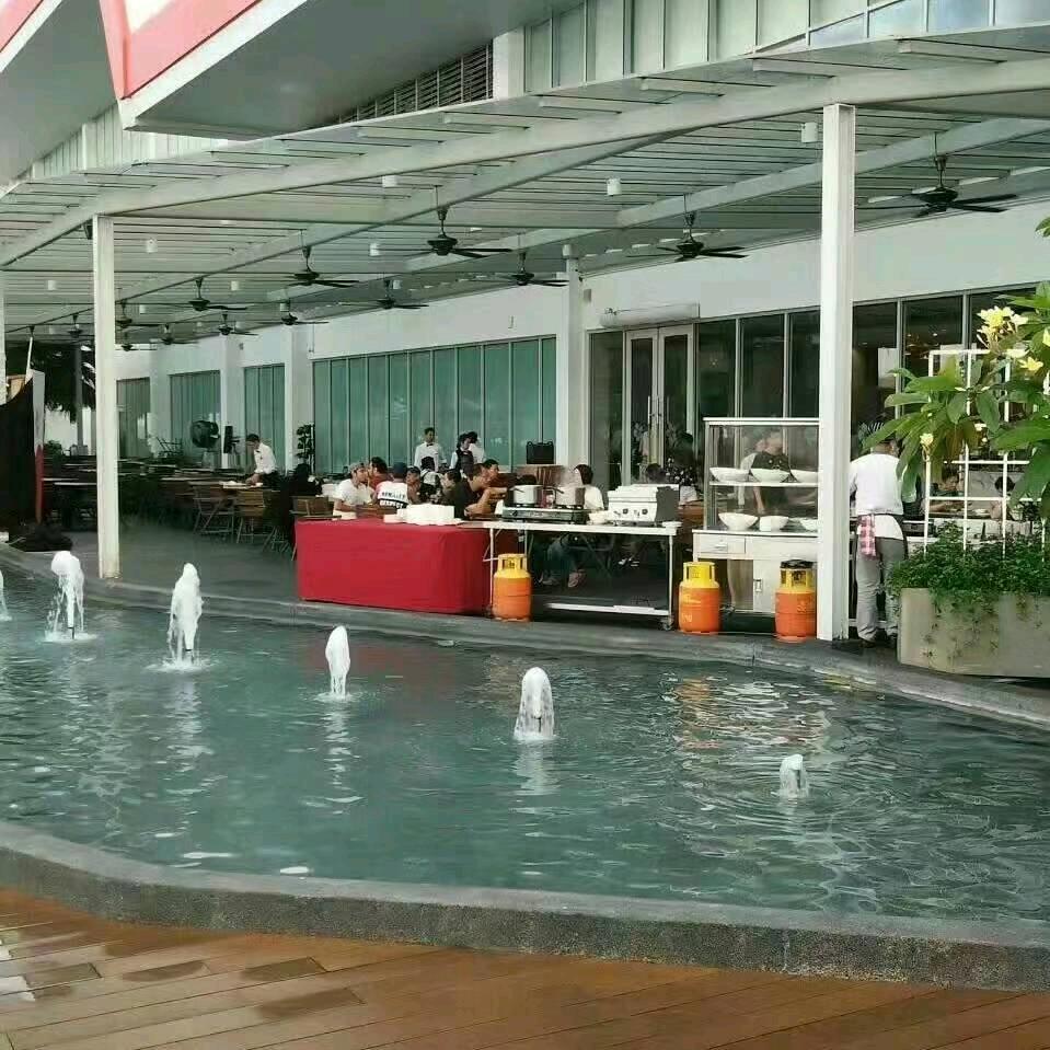 自由飞翔