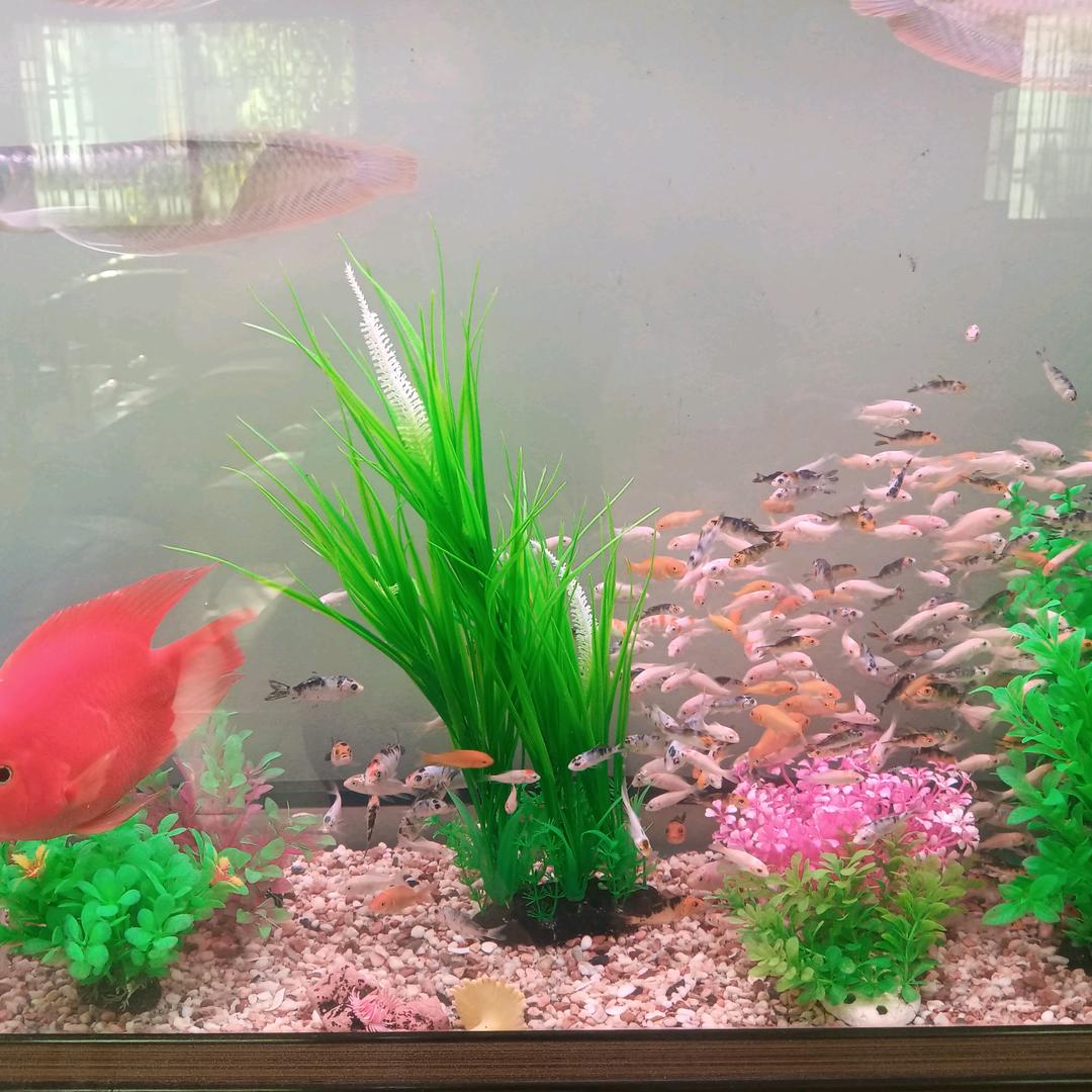 风～中…找～感—觉.装修工程设计