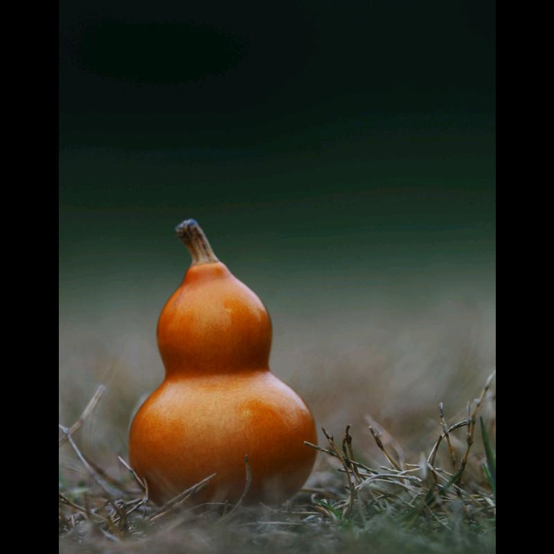 不务正业的葫芦