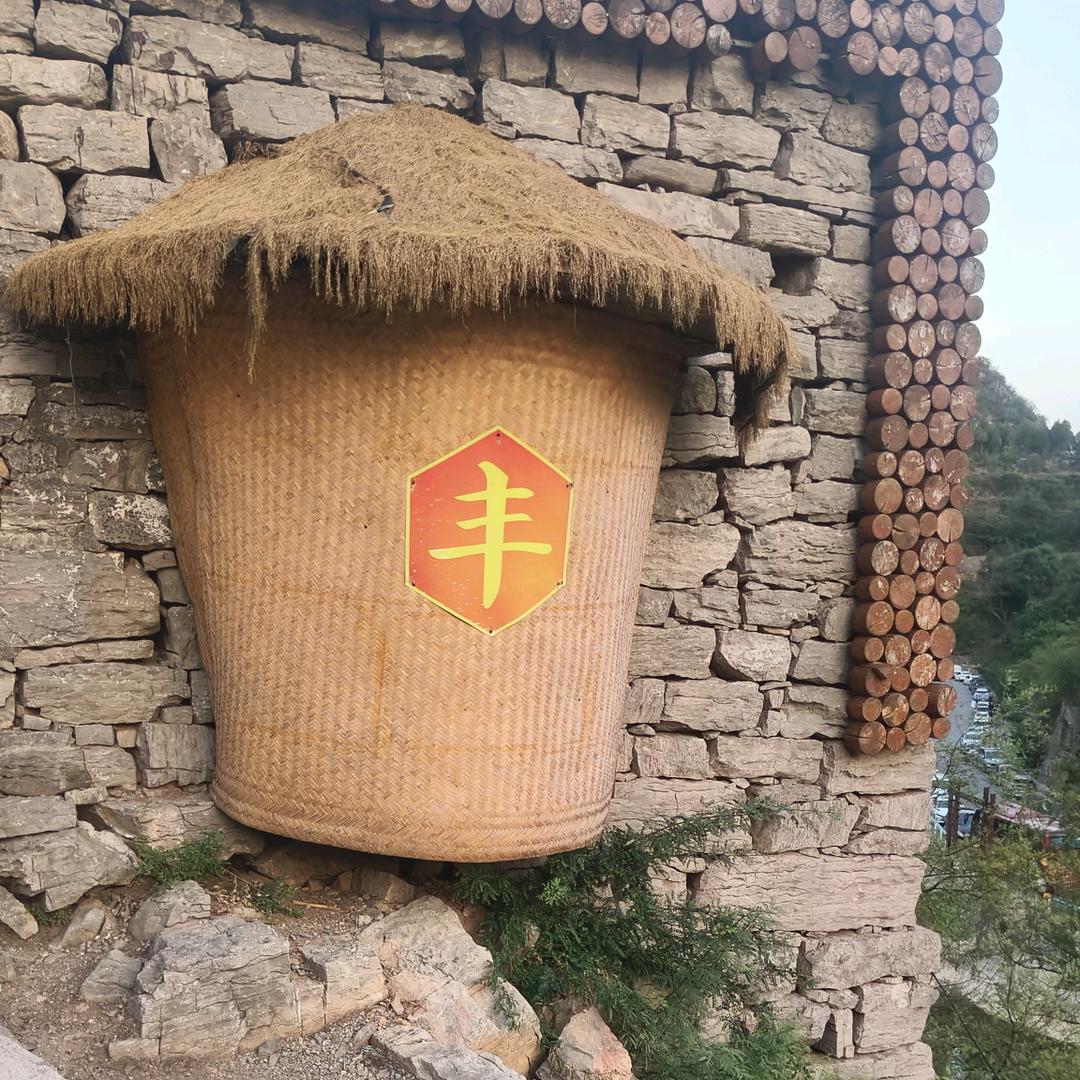 武安助农小李书记（海格）